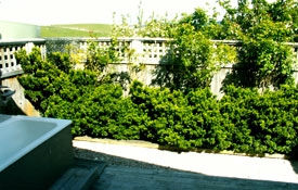 outdoor bath is available on request